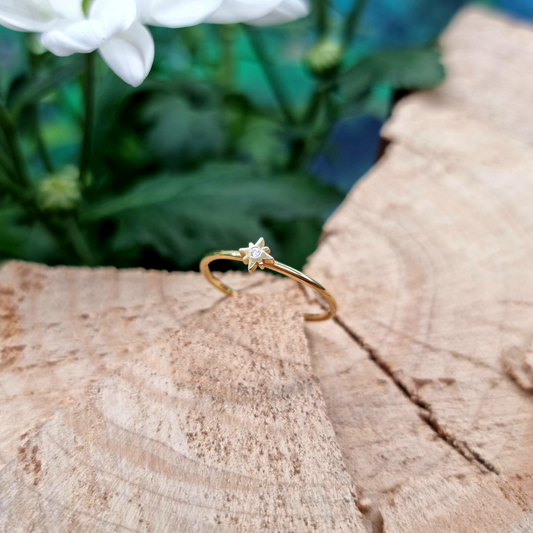 טבעת מצפן זהב 14 קראט משובצת יהלום טבעי